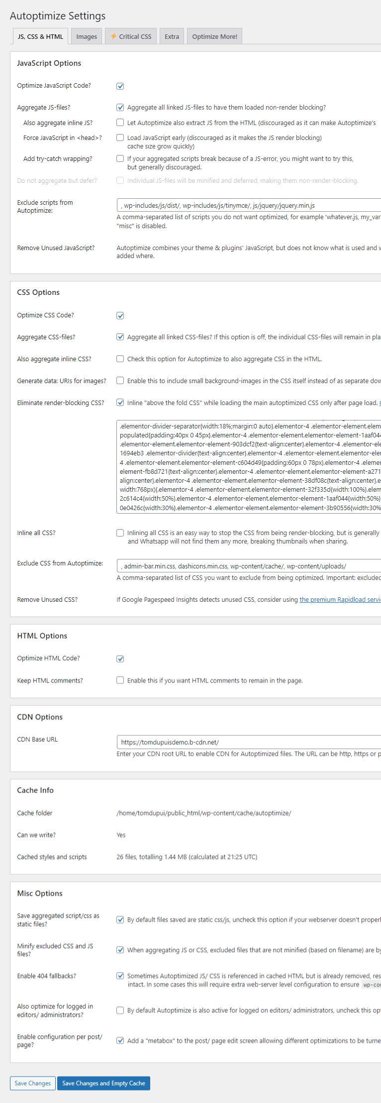 Autoptimize settings