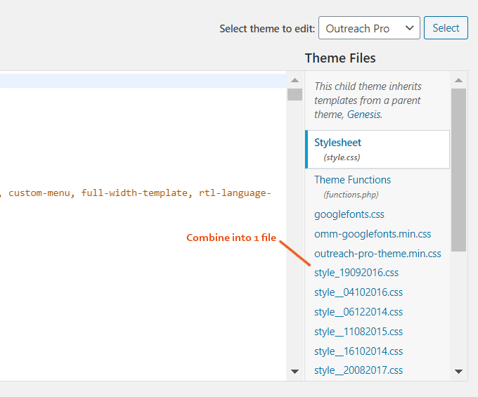 Wordpress css files