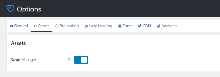 Perfmatters enable script manager