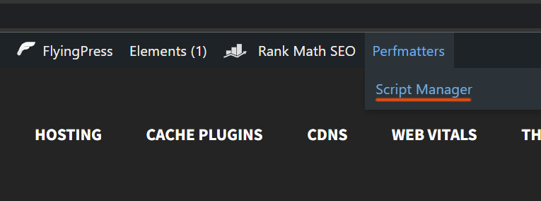 Perfmatters script manager menu