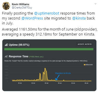 Kinsta uptime robot