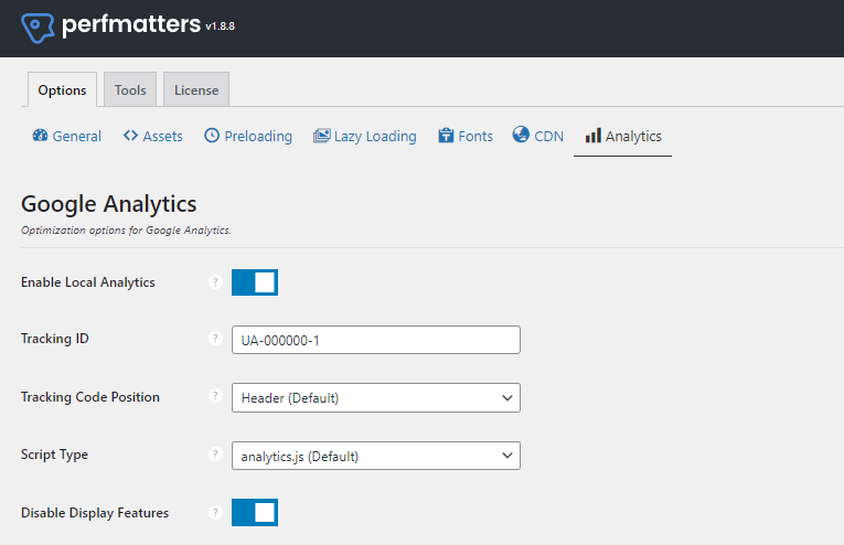 Perfmatters analytics code