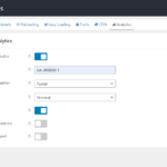 Perfmatters analytics settings