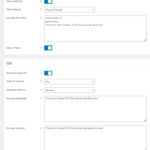 Perfmatters assets settings