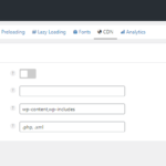 Perfmatters cdn settings