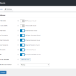 Perfmatters database settings