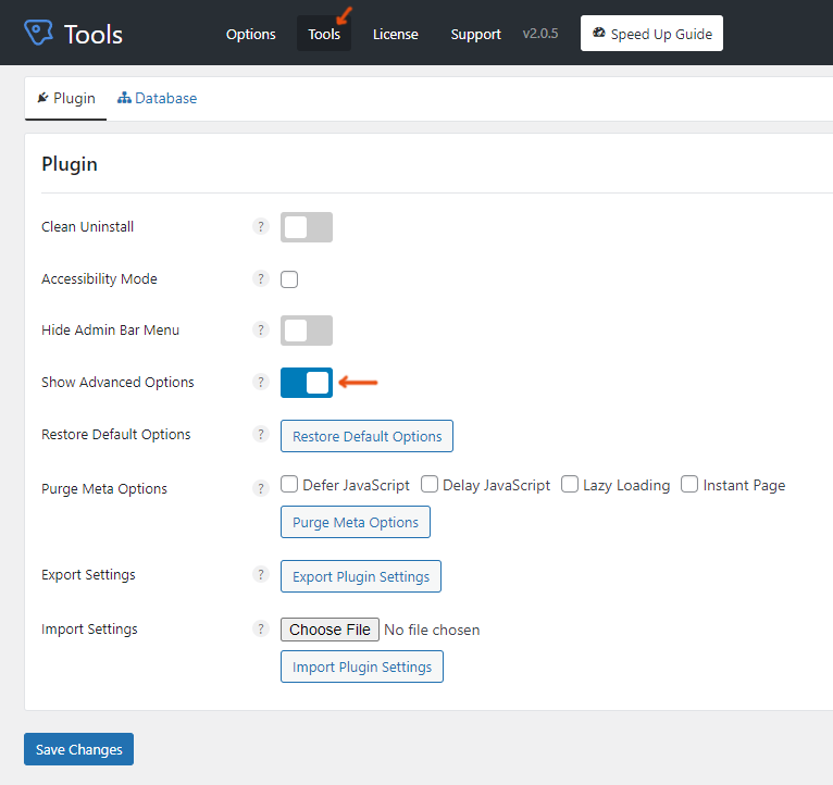 Perfmatters advanced options