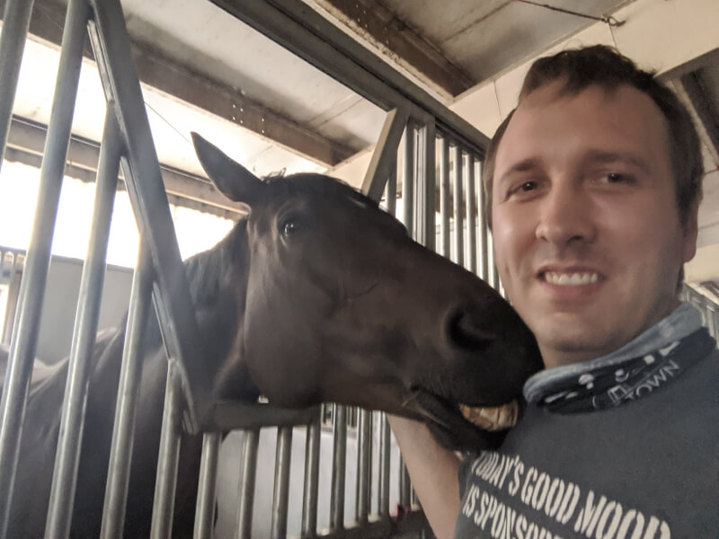 Horse and i