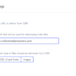 Flyingpress cdn settings