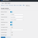 Perfmatters analytics settings