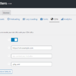 Perfmatters cdn settings