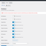 Perfmatters database settings