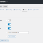 Perfmatters fonts settings