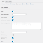 Perfmatters lazy loading settings