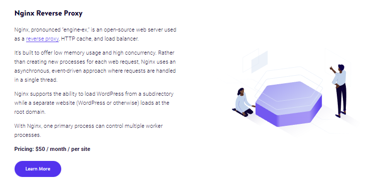 Kinsta nginx reverse proxy