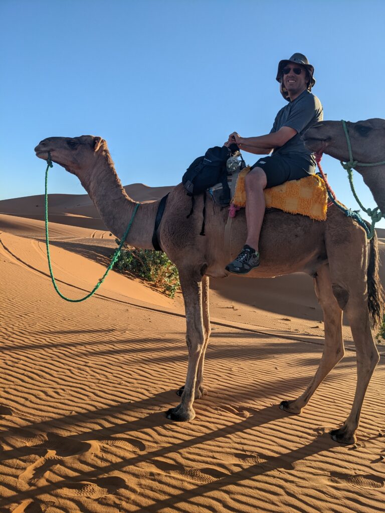 Camel