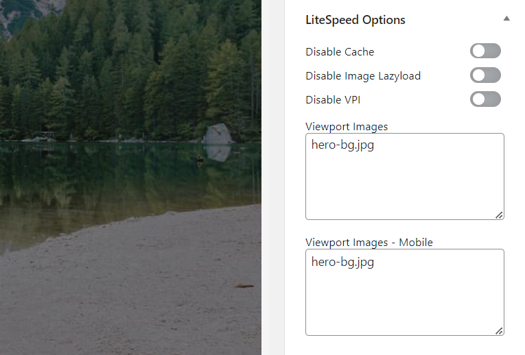 Litespeed cache viewport images by page